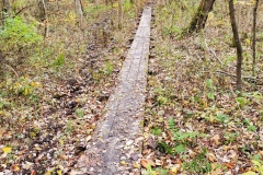 One of the boardwalks over muddy sections.