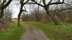 Other Lakeview Trail