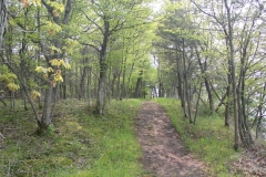 One of the trails